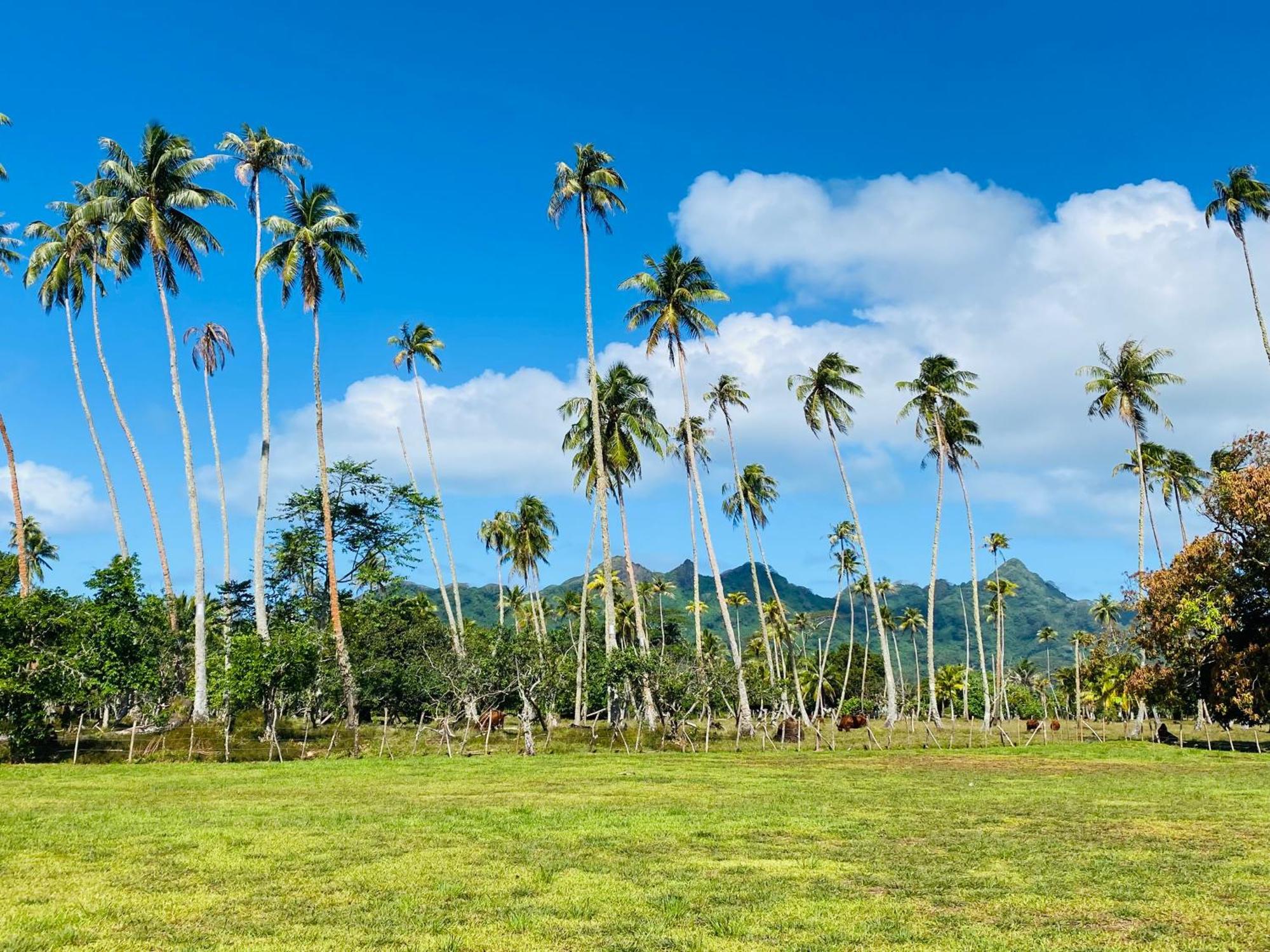 Huahine Serenity Cottage Maroe Exterior foto